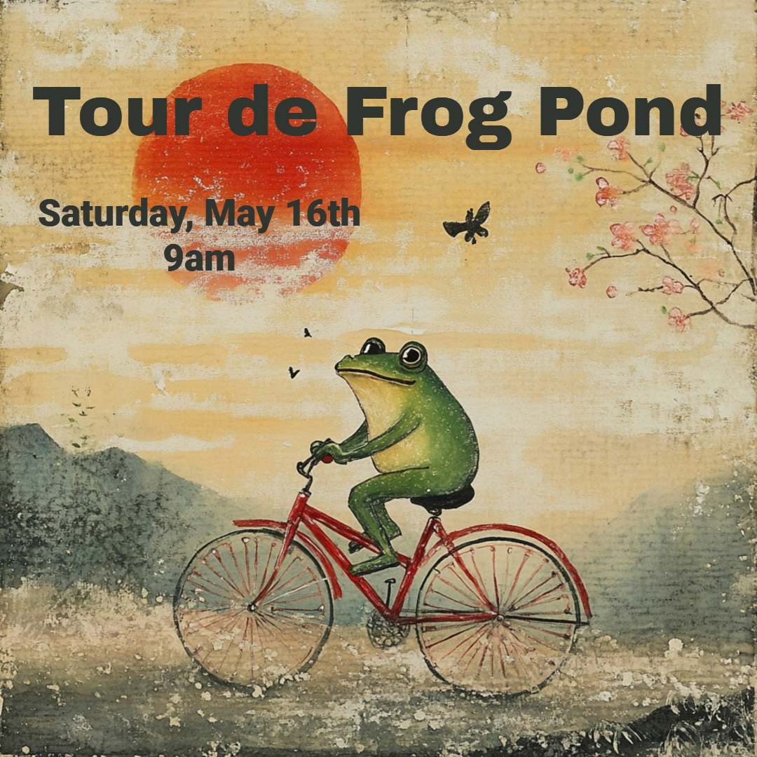 Tour de Frog Pond