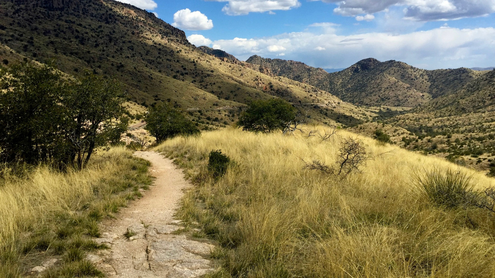 Arizona Trail Association cover